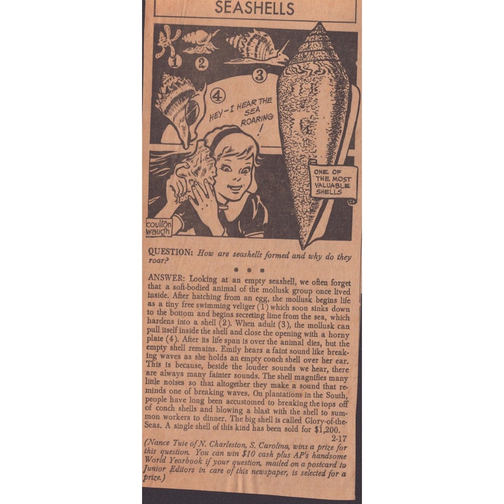 12 Vintage Junior Editors Quiz Newspaper Clippings Science Nature Ephemera Lot - Picture 12 of 14